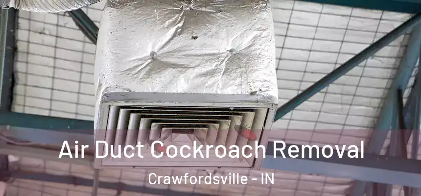 Air Duct Cockroach Removal Crawfordsville - IN