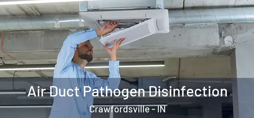 Air Duct Pathogen Disinfection Crawfordsville - IN