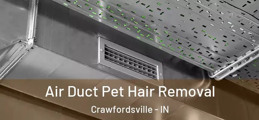  Air Duct Pet Hair Removal Crawfordsville - IN
