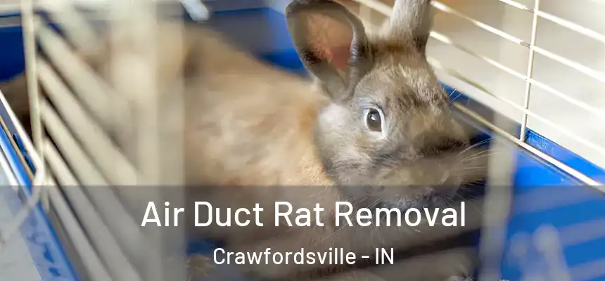 Air Duct Rat Removal Crawfordsville - IN