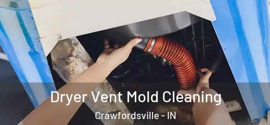 Dryer Vent Mold Cleaning Crawfordsville - IN