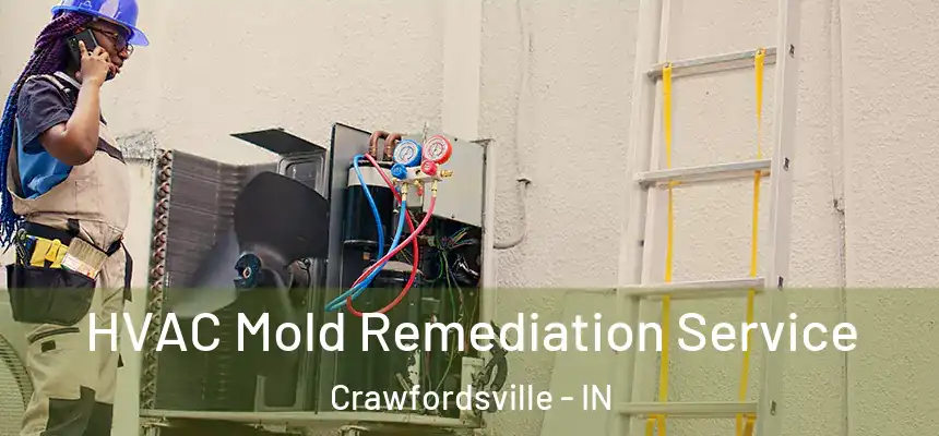 HVAC Mold Remediation Service Crawfordsville - IN