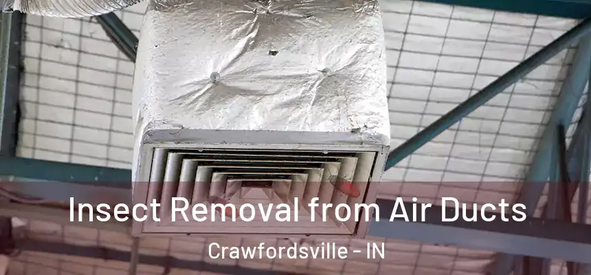 Insect Removal from Air Ducts Crawfordsville - IN