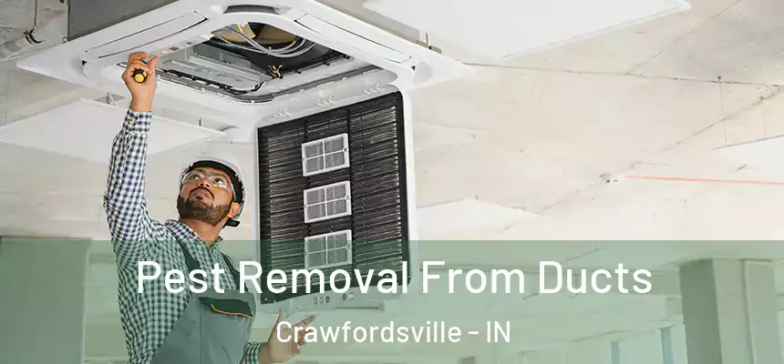 Pest Removal From Ducts Crawfordsville - IN