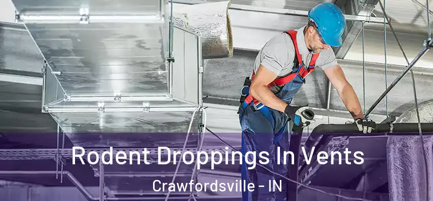 Rodent Droppings In Vents Crawfordsville - IN
