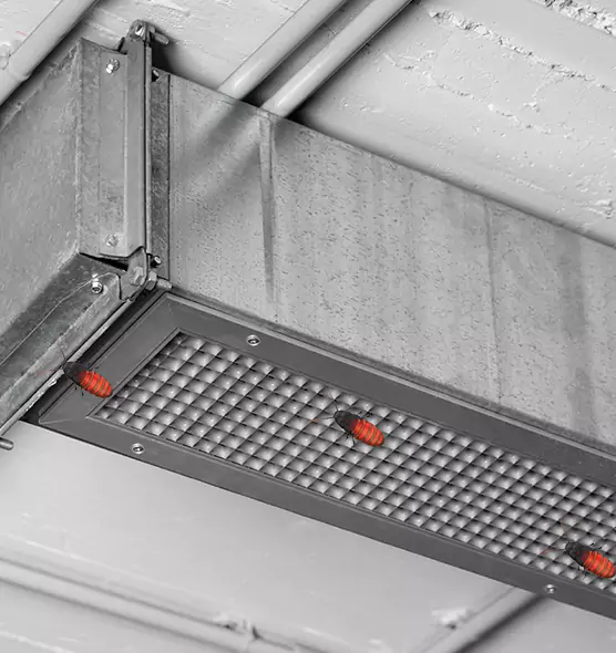 About Air Duct Cockroach Removal in Crawfordsville, IN