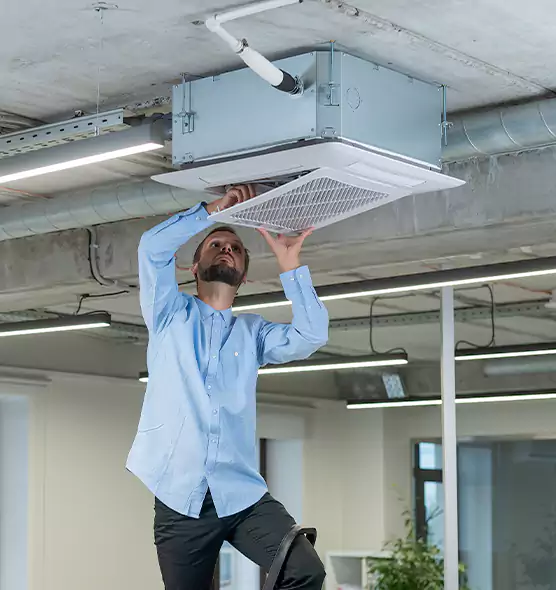 Advanced Rodent Droppings In Vents in Crawfordsville, IN