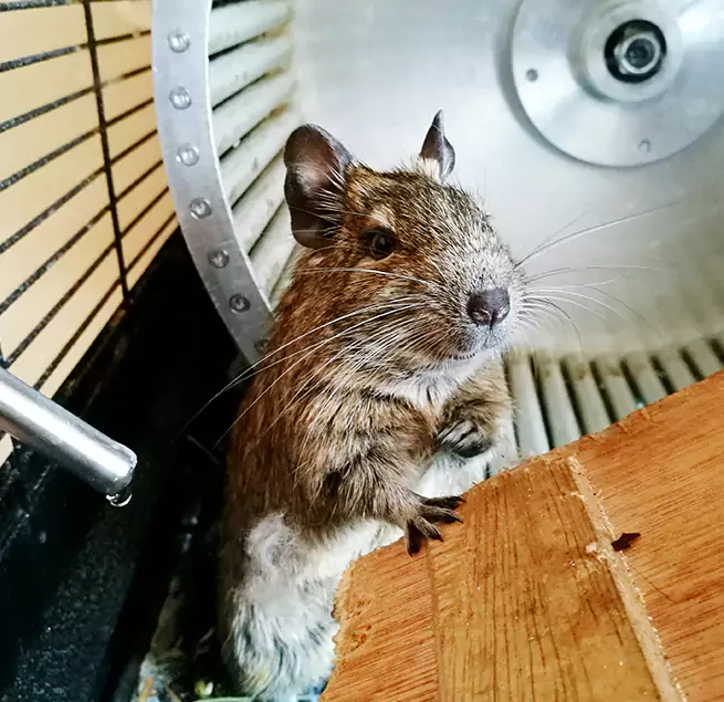 Why Homeowners & Businesses Trust Us Crawfordsville, IN?